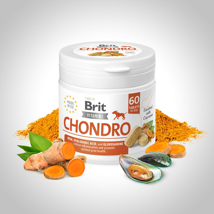 Brit Chondro