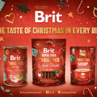 Brit Christmas